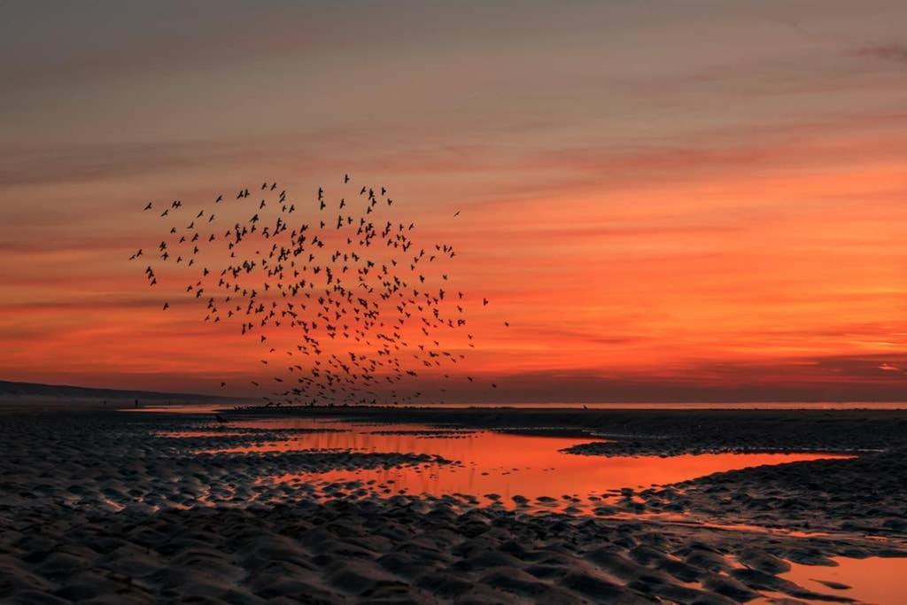 Hoekje Up Katwijk aan Zee Exterior foto