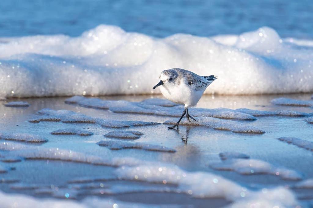 Hoekje Up Katwijk aan Zee Exterior foto
